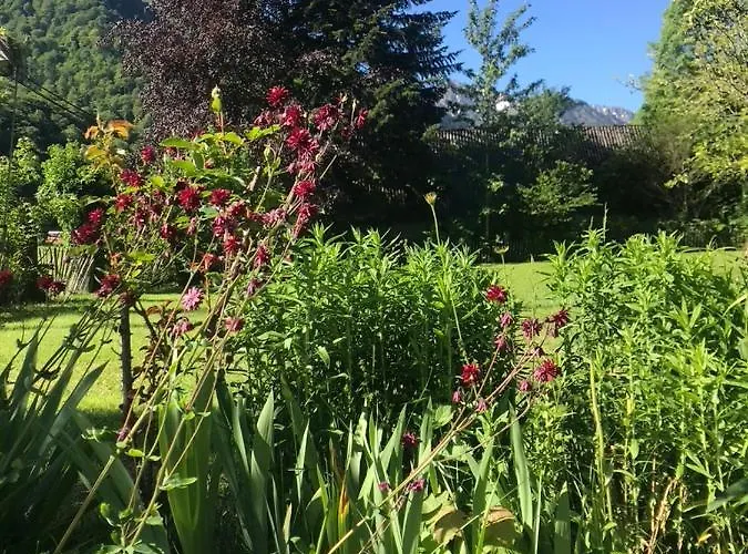 Maison D'hoursentut Hotell